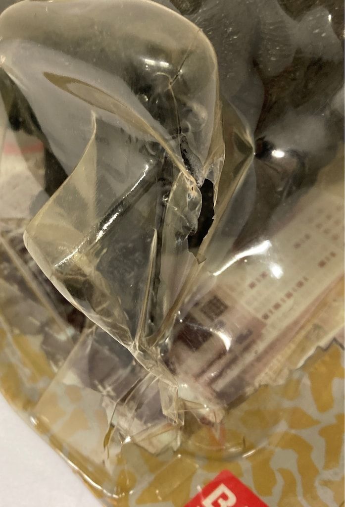 ゴジラ超進化セット