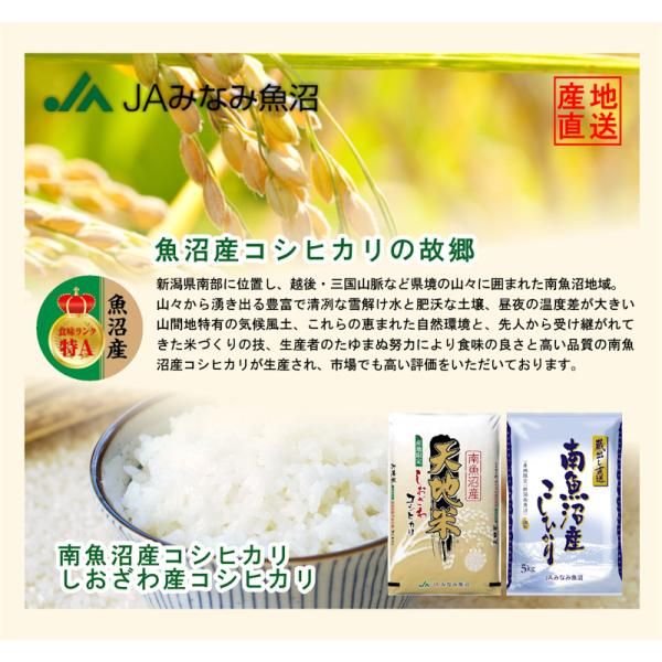 ティコ ホタル舞う棚田の令和３年南魚沼産コシヒカリ中粒米玄米20kg komenouka_nmk-20