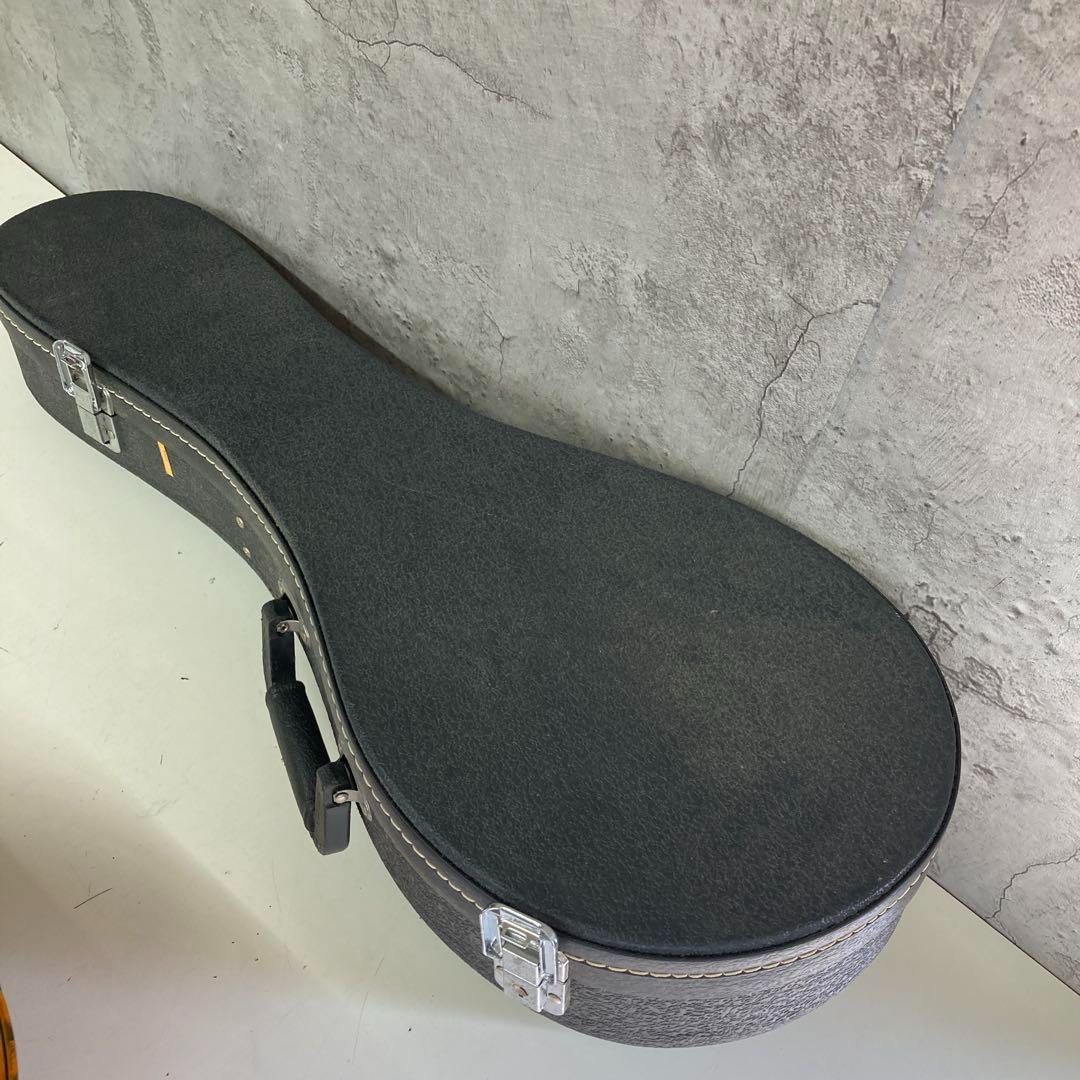 Blanton ブラントン マンドリン 楽器 ケース付き - メルカリ