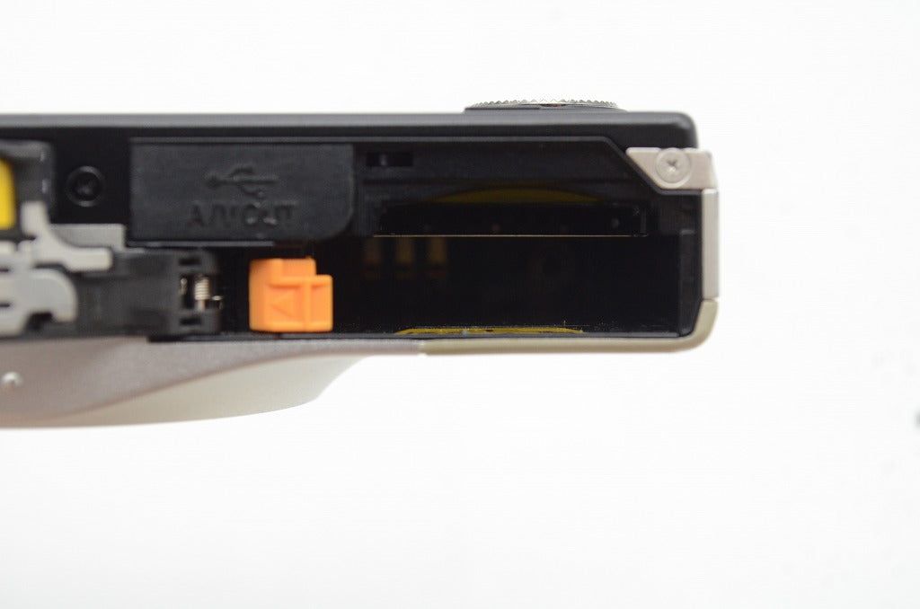 シャンパンシルバー 250713b