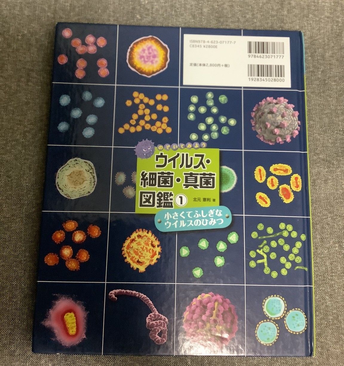 のぞいてみようウイルス・細菌・真菌図鑑 1 (小さくてふしぎなウイルスのひみつ) 小さくてふしぎな ウイルスのひみつ (のぞいてみよう ウイルス