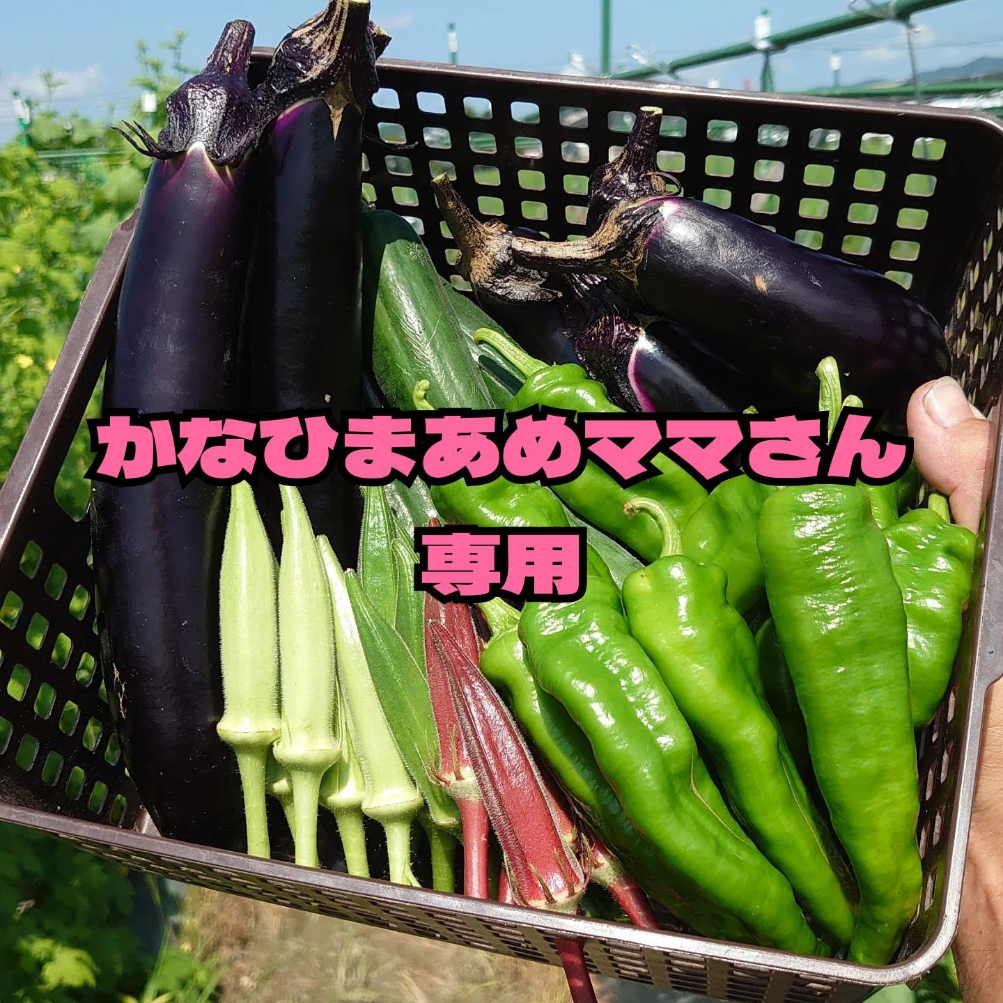 かなひまあめママさん専用】野菜セット - 週末農家ゆなれな - メルカリ