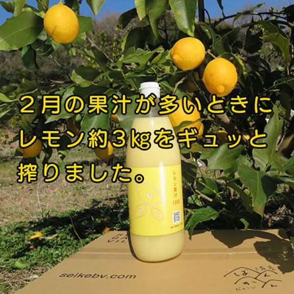 愛媛 レモン果汁 1000ml 6本セット まとめ買い ストレート果汁100%・愛媛県愛南町産レモン使用【果汁100%】レモネードやレモン水・料理・お菓子・お酒などにご使用ください｜ご家庭用・業務用にも