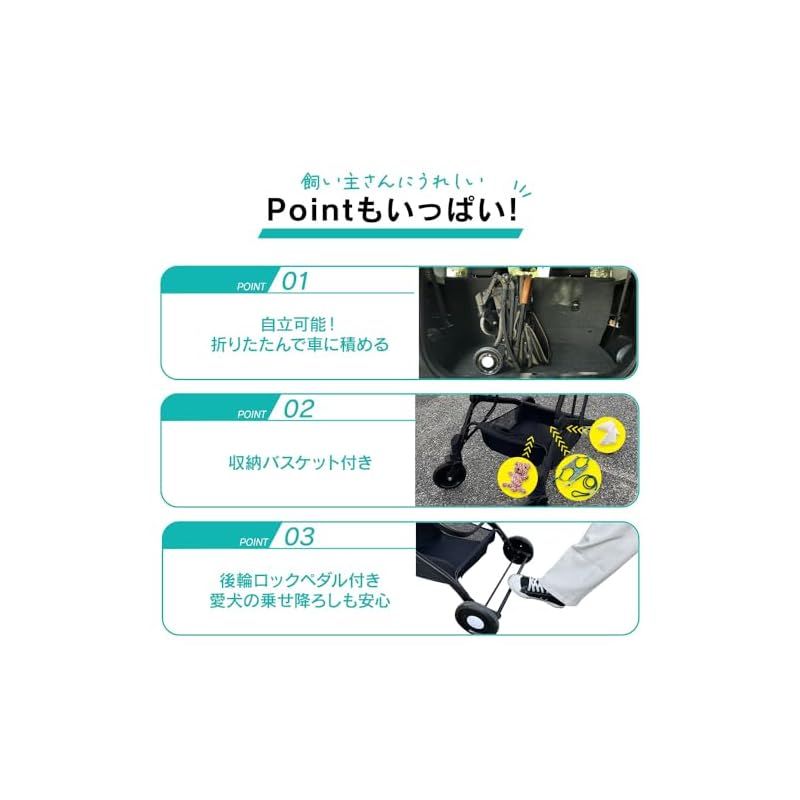 シンセーインターナショナル