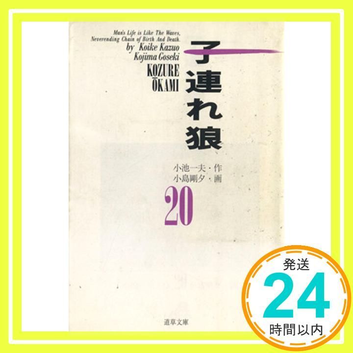 子連れ狼 全20巻セット 小池一夫 小島剛夕 小池書院 小池書院漫画DX 子連れ狼 4〜20巻 全巻 初版 完結 セット ワイド