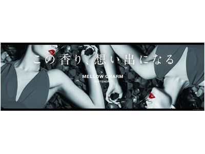 本体 600ml