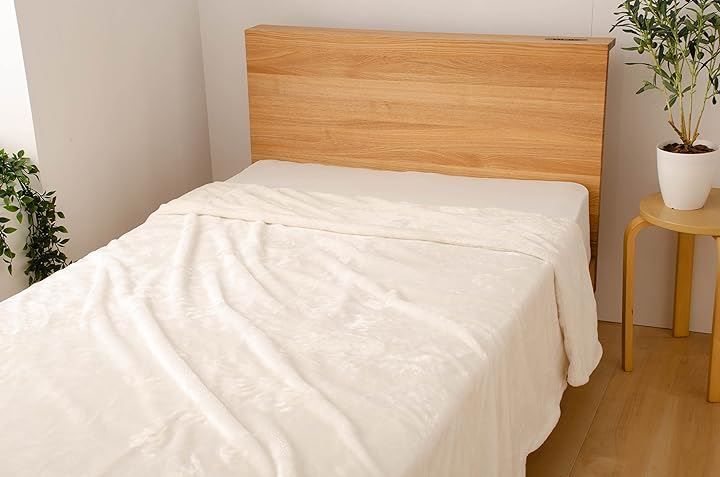 Ｍ ＭＩＴＡＳ 定番のやわらかマイクロファイバーで作った布団を包める毛布 シングルサイズ 150ｘ210cm( アイボリー，  シングル)