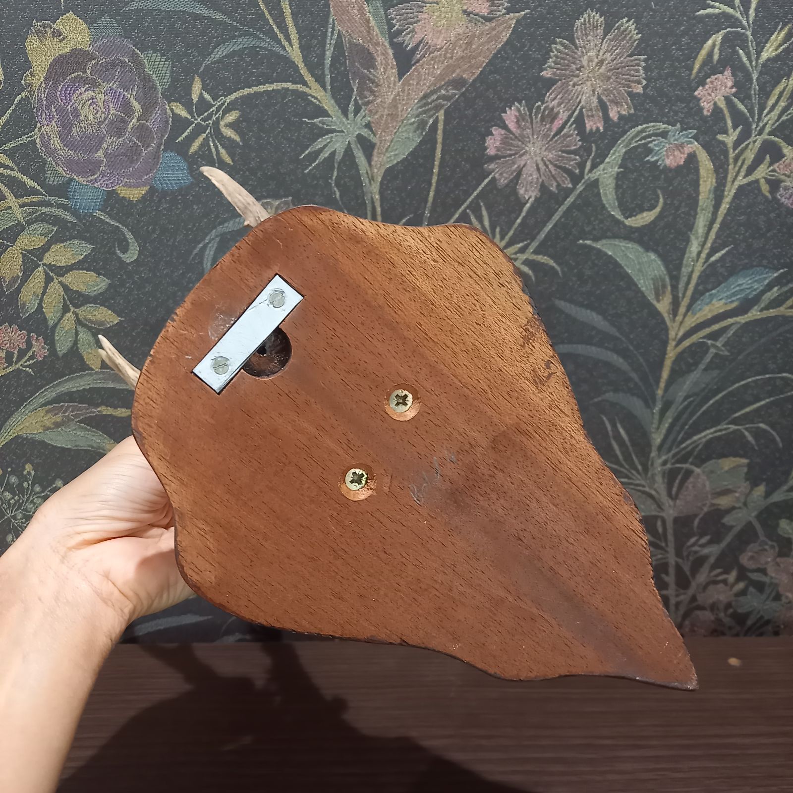 鹿の角 ハンティングトロフィー 天然日本鹿 角 ハンティングトロフィー