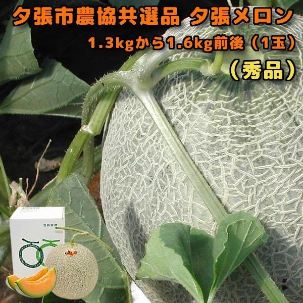 夕張メロン 1玉 秀品 夕張市農協 共選品 1.3から1.6kg前後 お中元 贈答品 お取り寄せグルメ 6月中旬か6月下旬ごろより入荷次第のお届けとなります