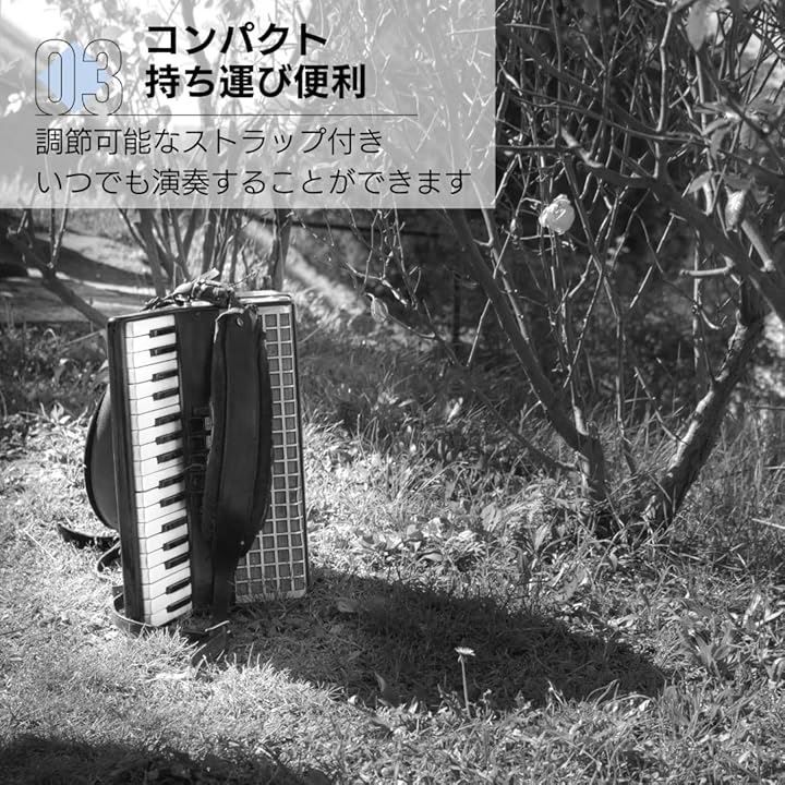 ダイアナ レギンス ① 値下げ ダイアナ サポートトレンカ 2025年最新