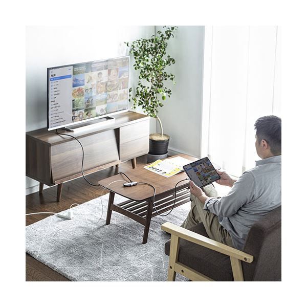 LAN付 USB-3TCHLP7S-1