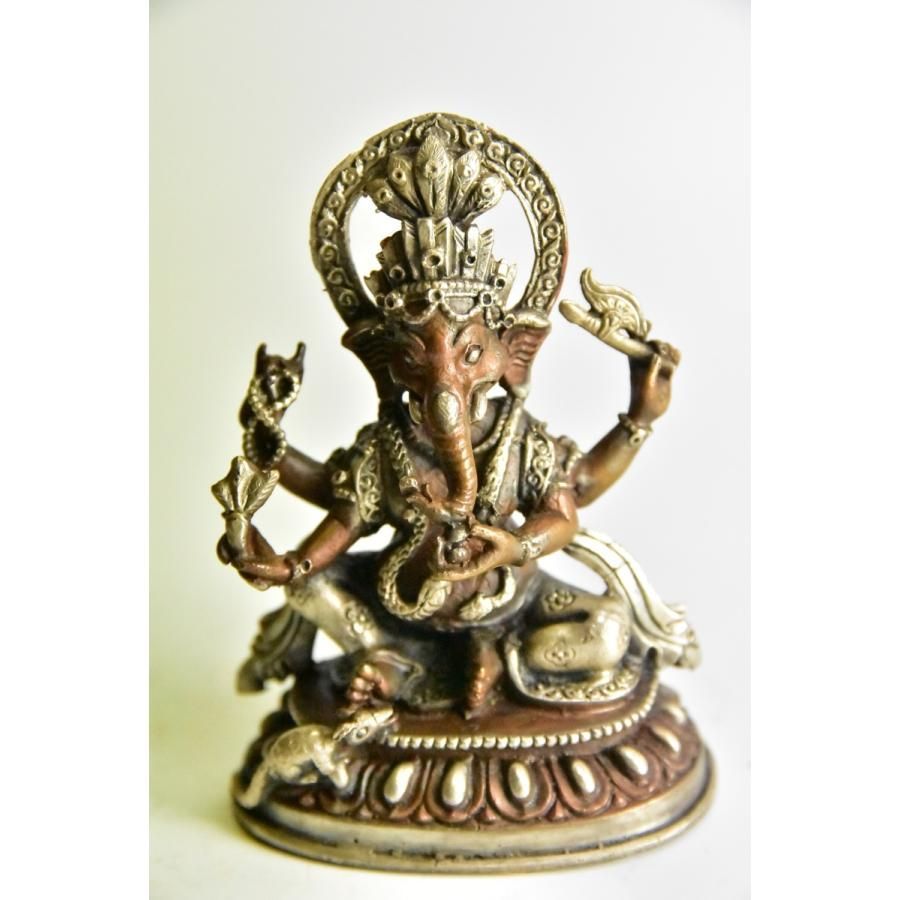 レア RIDGWAY リッジウェイ 直径20cm 深皿 プレート 2枚セット