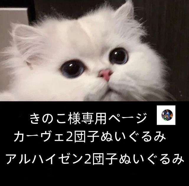 きのこ様専用