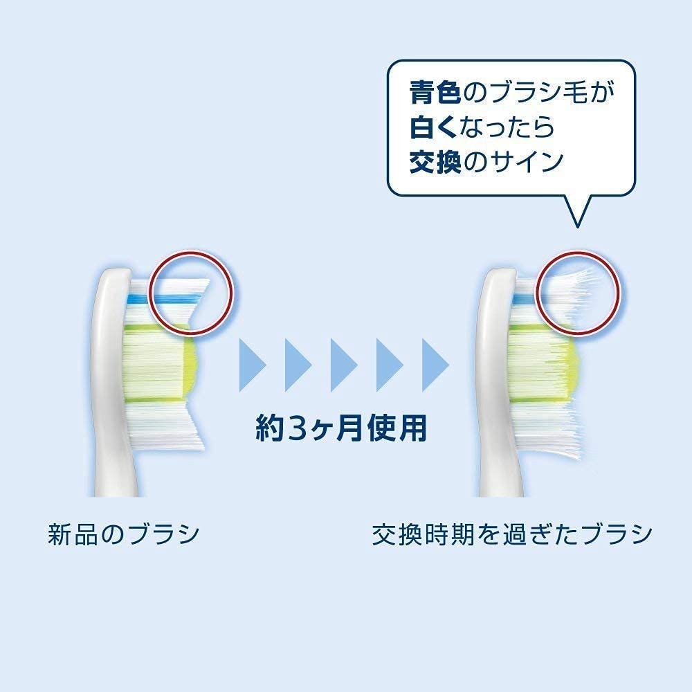 センシティブレギュラー