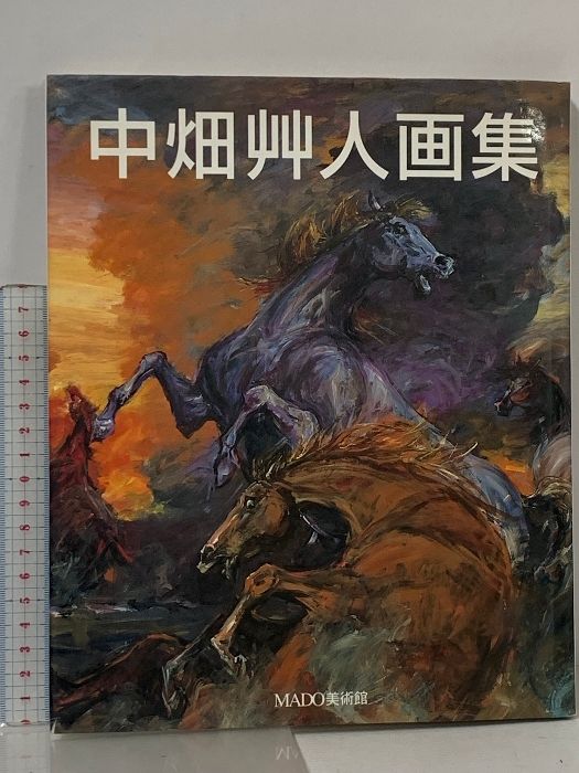 サイン入り 中畑艸人画集 生活の友社 MADO美術館 中畑艸人 朝陽