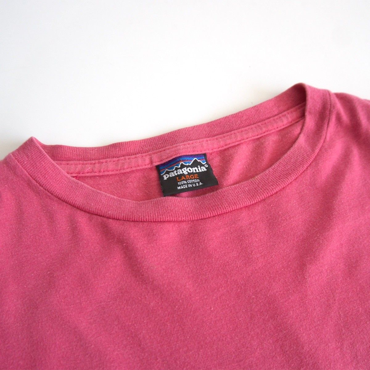 patagonia マゼンタ Tシャツ L 生態系　絶滅危惧種　キッズサイズ 90s/USA製】PATAGONIA【絶滅危惧種 Tシャツ】L パタゴニア 絶滅T