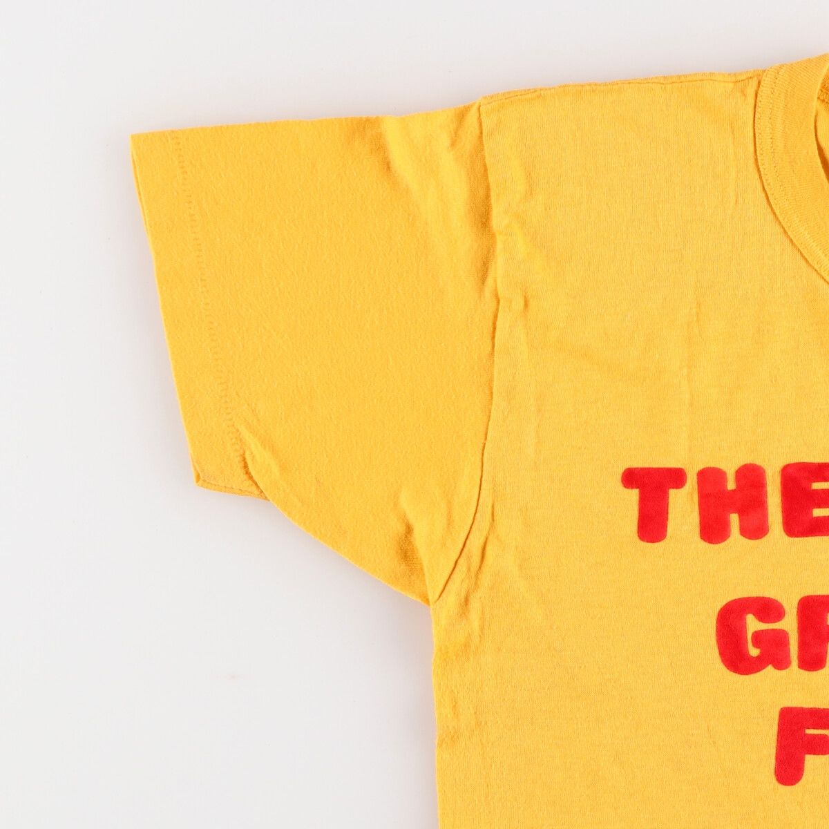 専用　ヴィンテージフロッキープリントTシャツ70s 古着 70年代 フロッキープリント メッセージプリントTシャツ