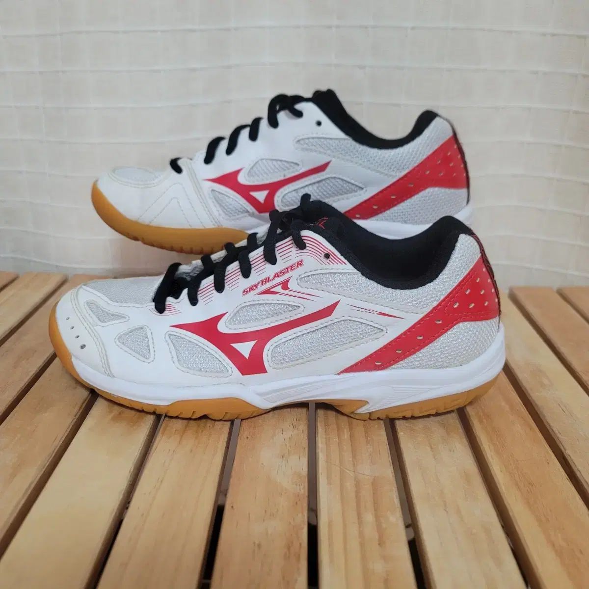 Mizuno ミズノ バドミントンシューズ ピンポンシューズ 室内用スポーツシューズ 230