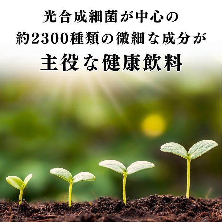 EMW×1本 em生活