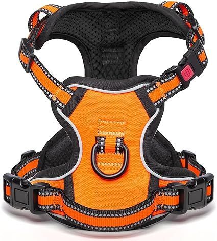 wtwstyle フレーム/シャビーシック・ヴィンテージ風42.5X55cm 【wtw