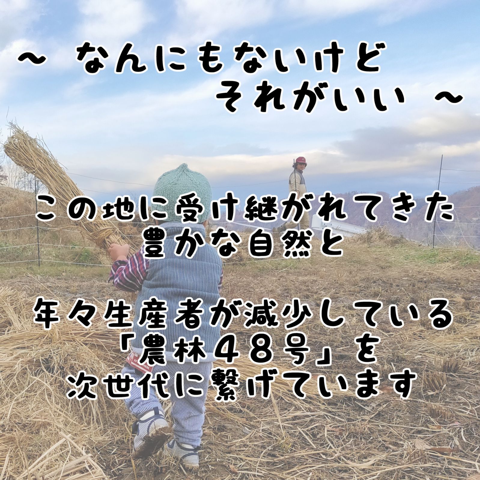 アイガモと一緒に農薬不使用で育ったお米♪ 農林48号（合鴨農法）白米