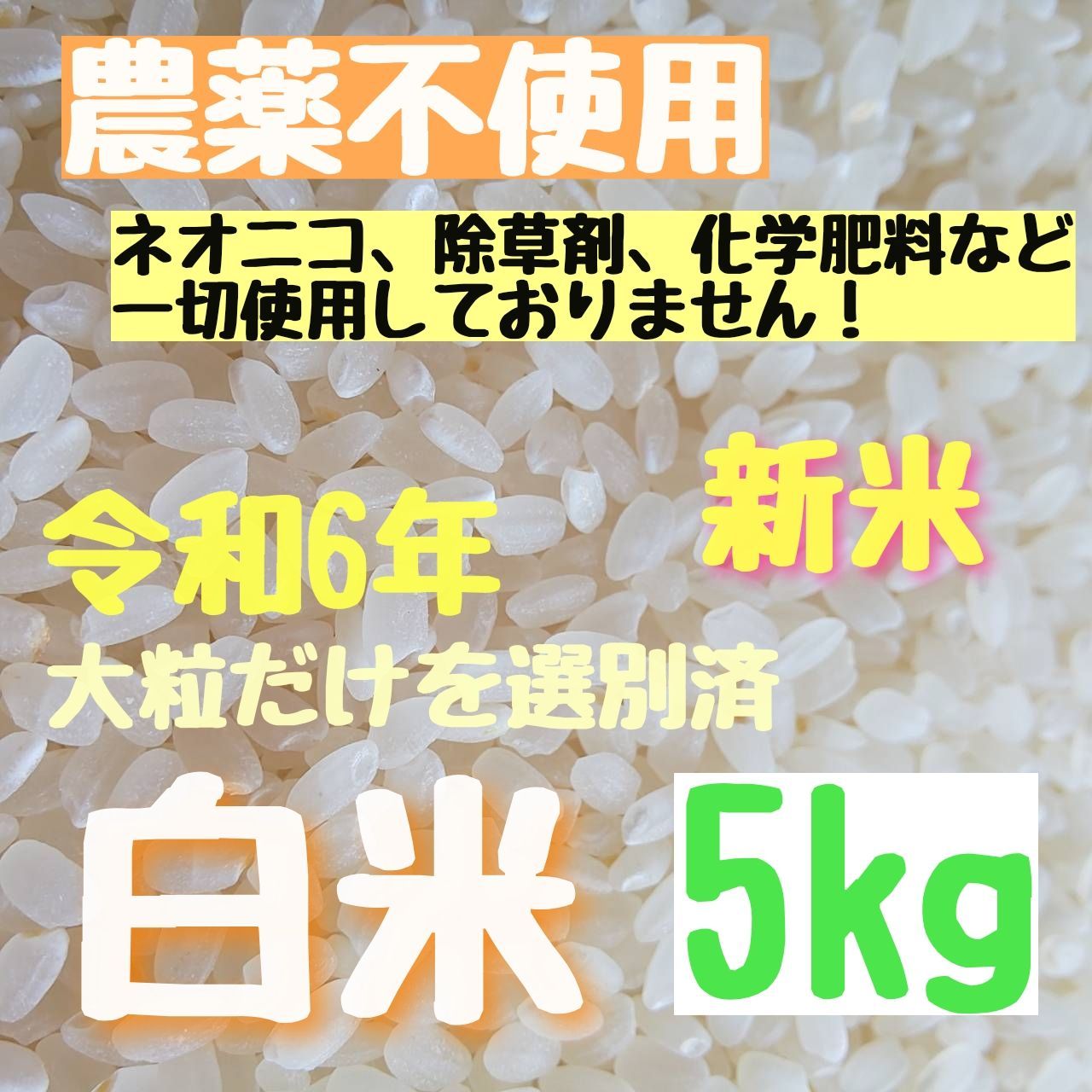 綺麗な大粒揃い】農薬不使用 化学肥料、除草剤不使用 ヒノヒカリ