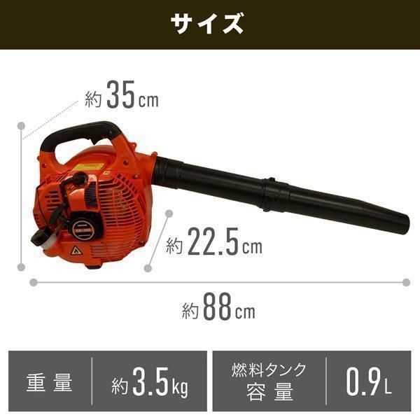 小型 落ち葉