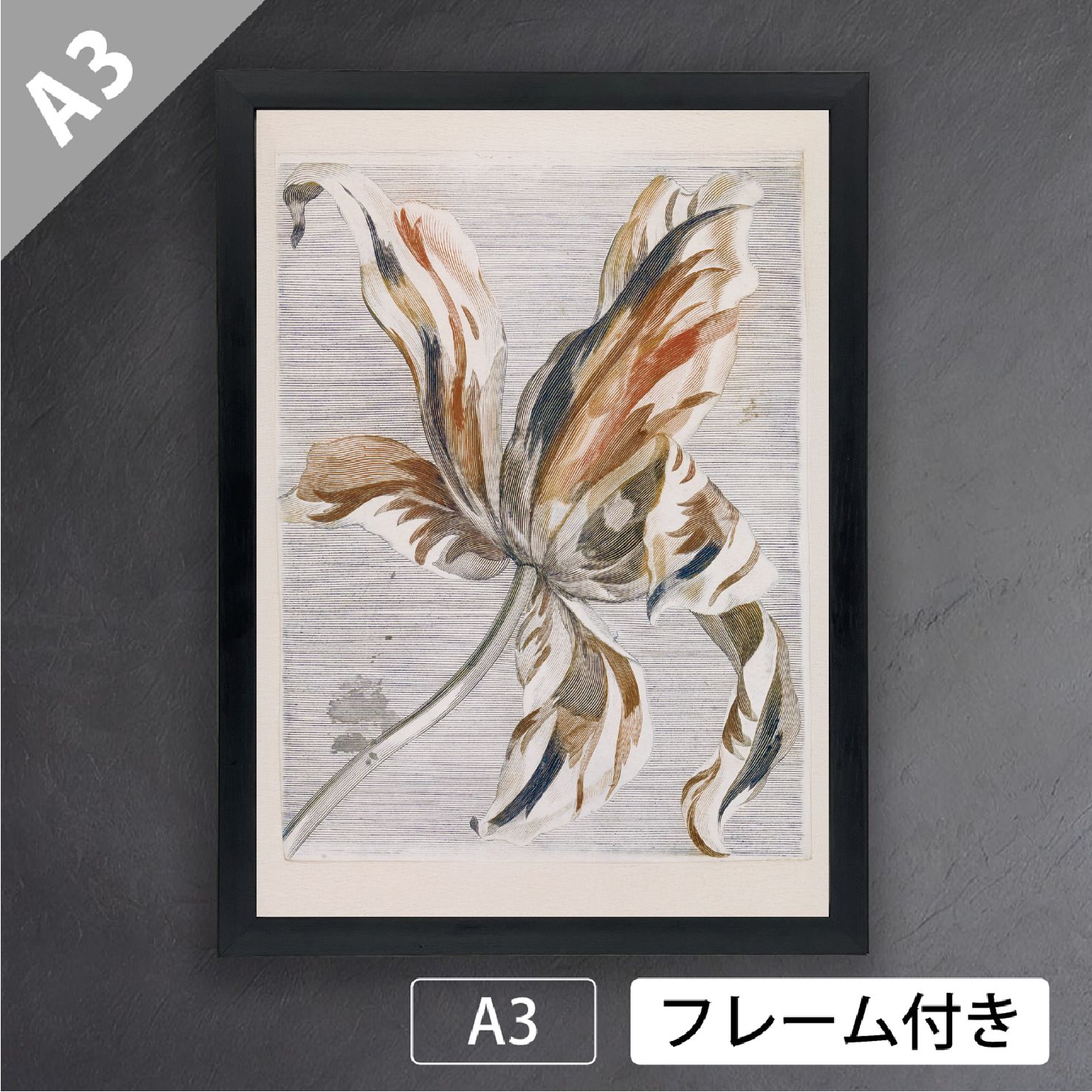 絵画  アートポスター  シャーリーフェルッ  チューリップ 絵画 アートポスター シャーリーフェルッ チューリップ（2025年