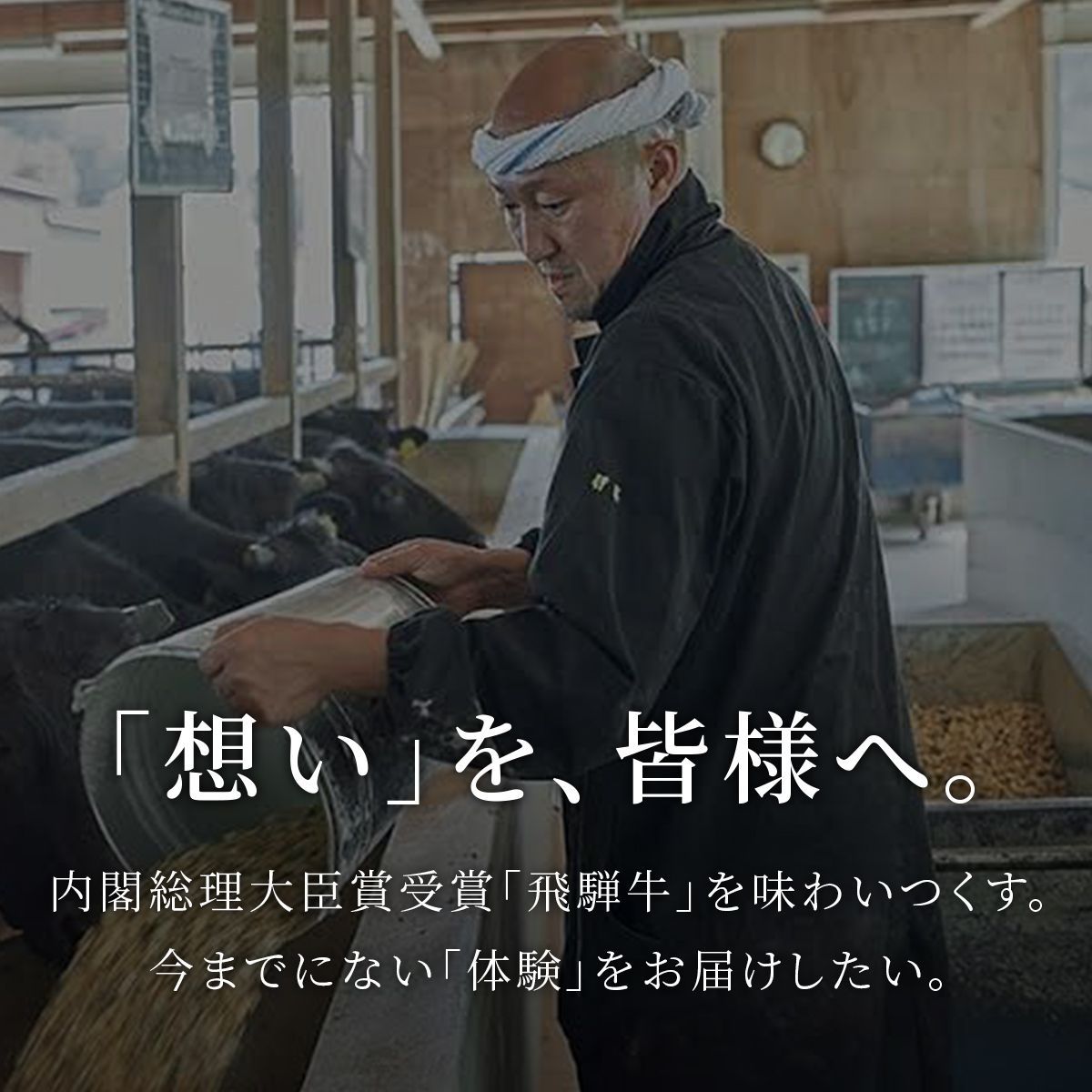 飛騨牛 すき焼き ザブトン（ 肩ロース）&モモ x 各100g 【公式通販】