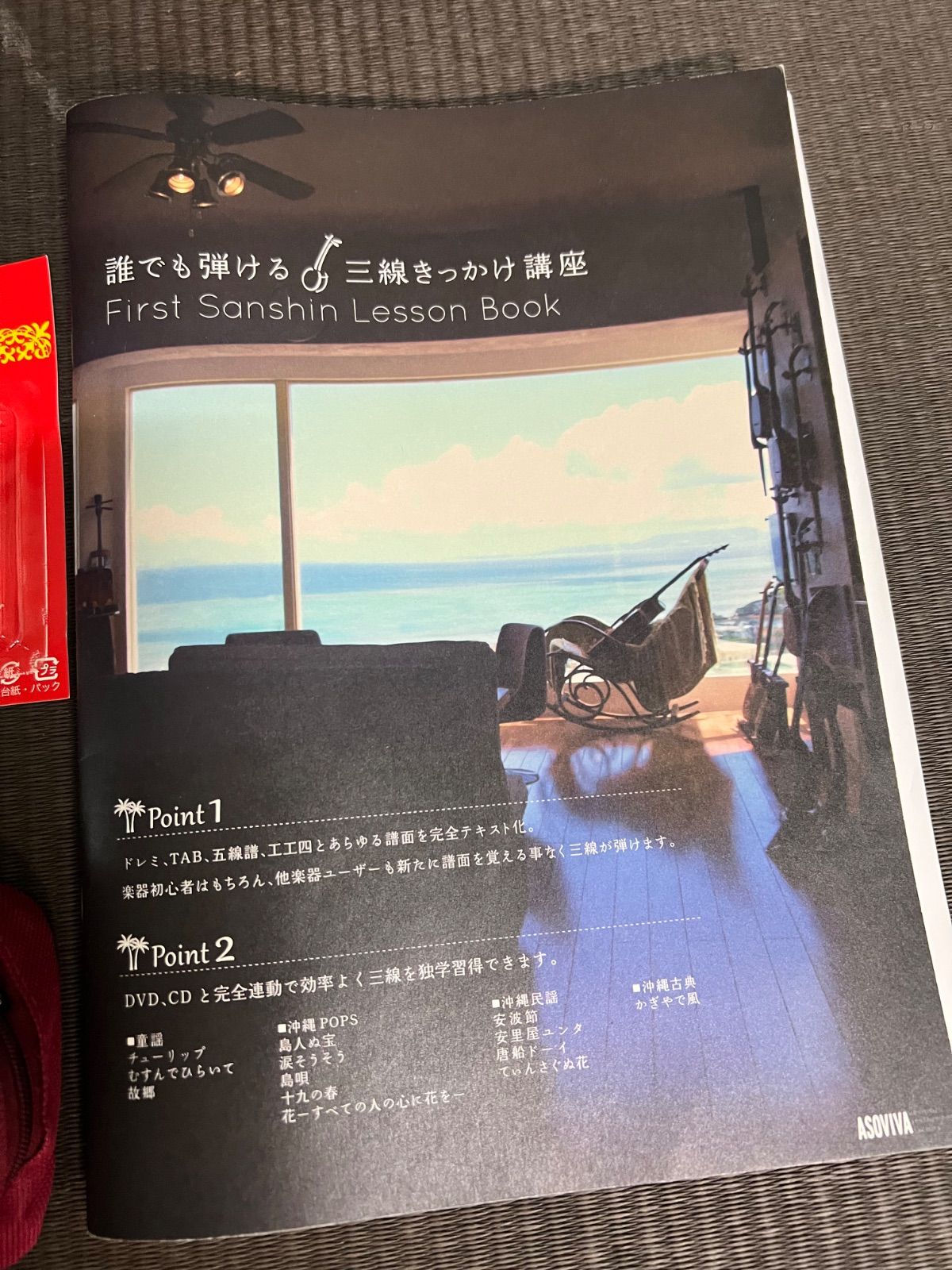 沖縄三味線 弦楽器 和楽器 三味線 人工蛇皮 本体 ケース付き 蛇味線