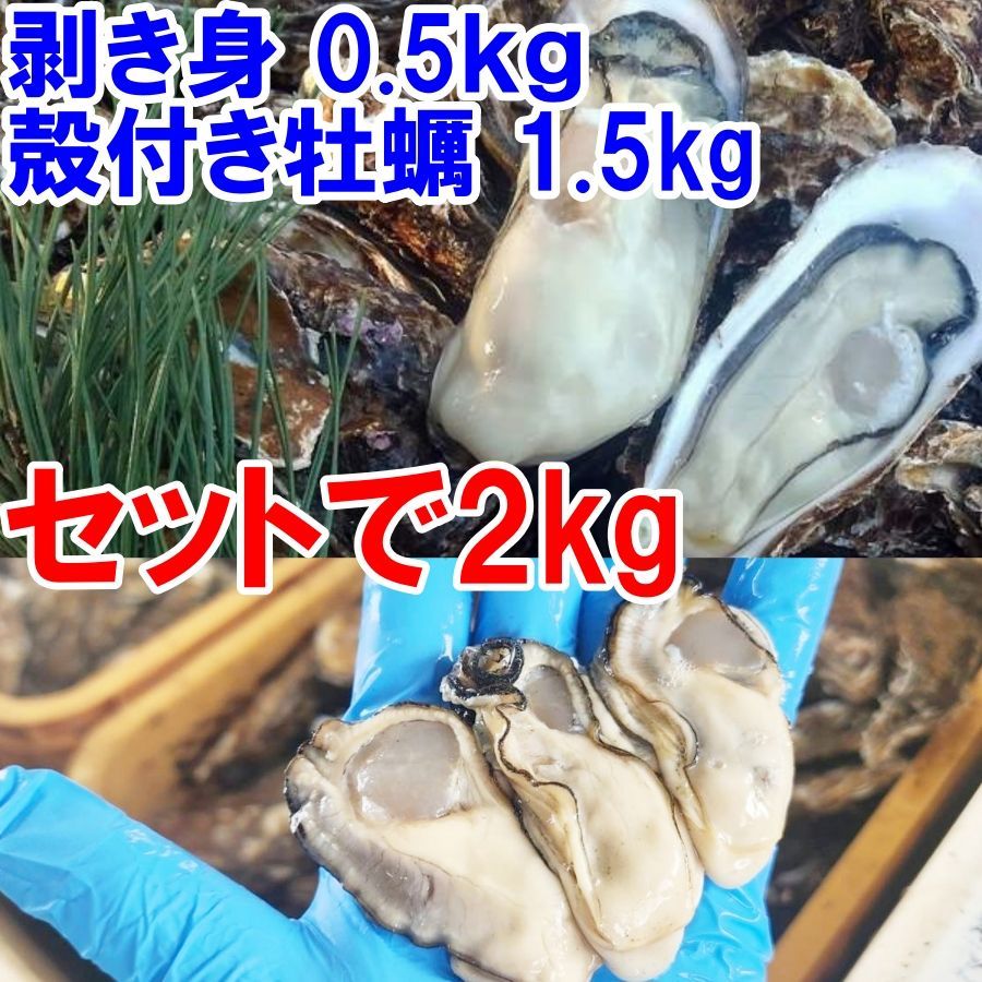 【生食用剥き身500ｇ】と【殻付き牡蠣1.5ｋｇ（約13個）】のセット 生食用牡蠣 牡蠣生食用 カキ 牡蛎 BBQ お花見 父の日 母の日  お中元「剥き身1本+生食1.5kg」松島牡蠣屋 かき バーベキュー 海鮮 貝類【80】