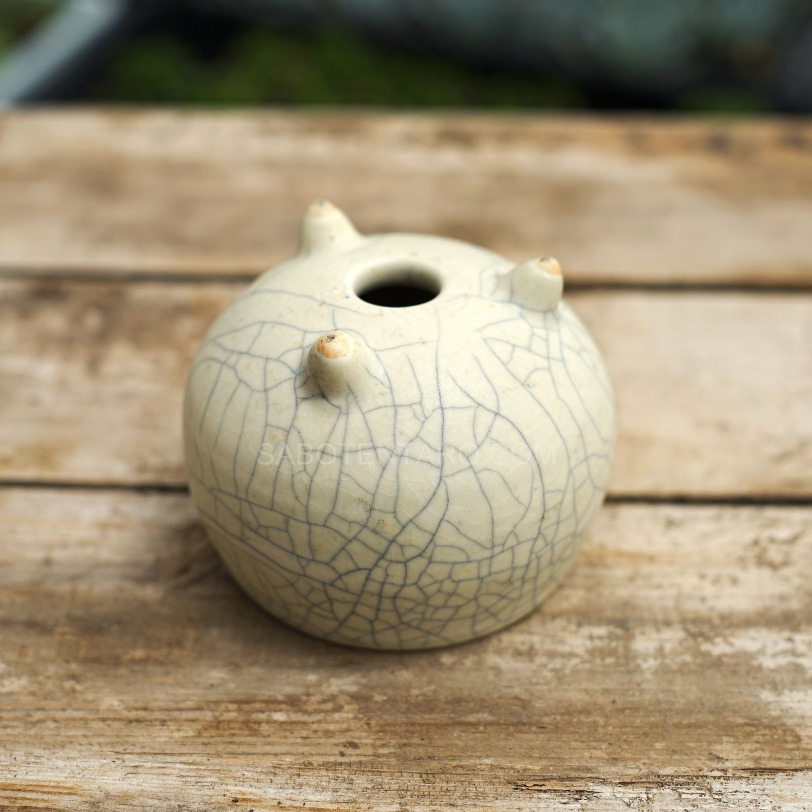 EARTH PIECE CRAFT 陶器鉢(SABOTENTARO.COM別注) epc-008 多肉