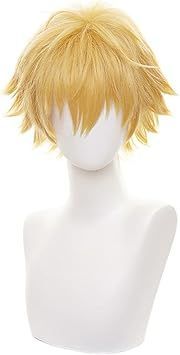 【在庫処分】HIROAKIYA デンジ ウィッグ チェンソーマン デンジ コスプレ ウィッグ ウィッグネット付き 約30cm