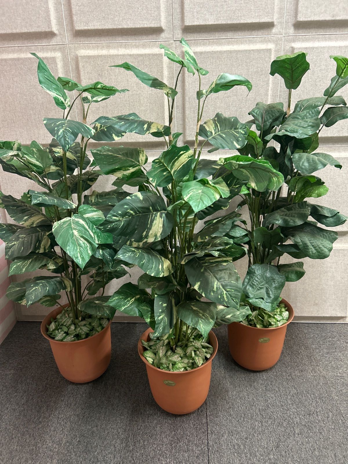 ポポラスと数種類の針葉樹をシックに紡いだ 落ち着いた雰囲気の