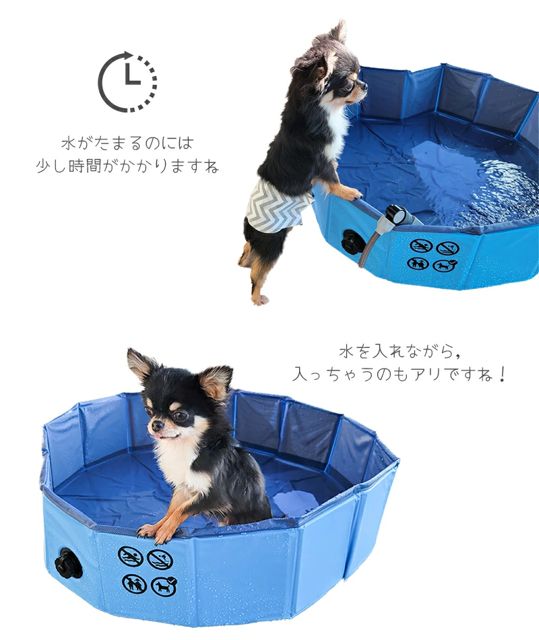 M-PETS
