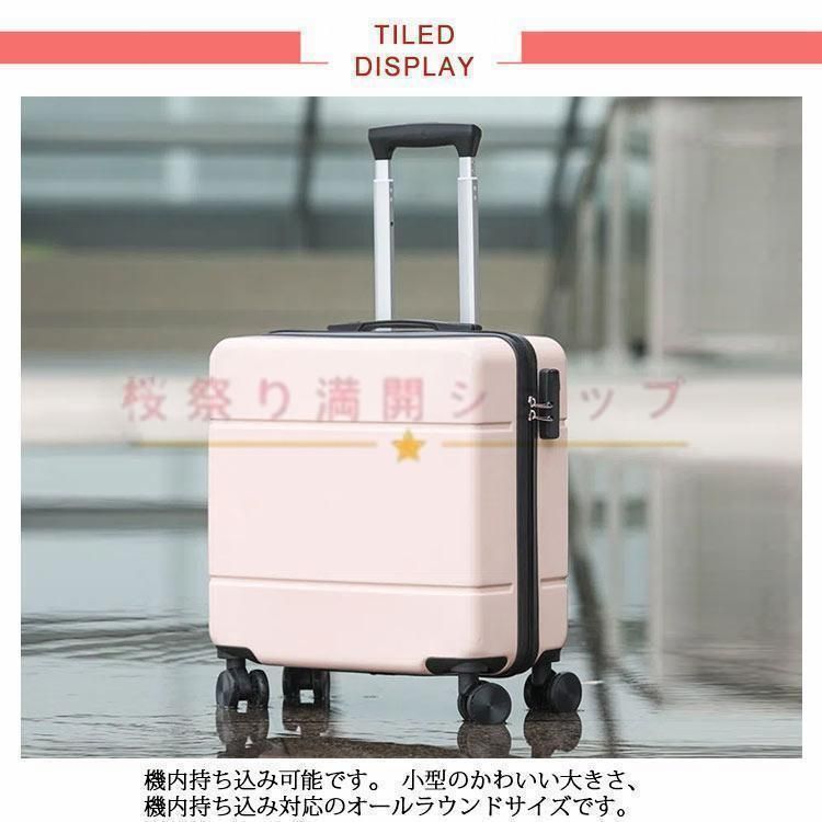 機内持込