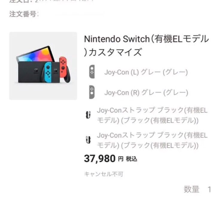 任天堂Switchカスタマイズ　Joy-Conグレー　ストラップブラック