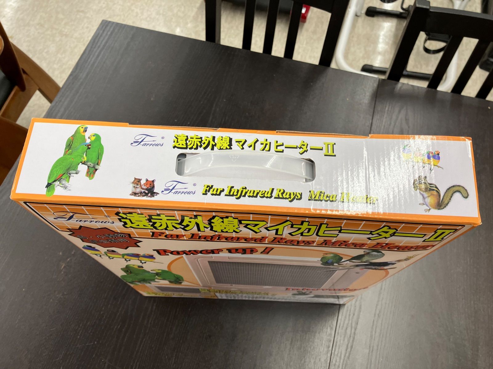 鳥 爬虫類