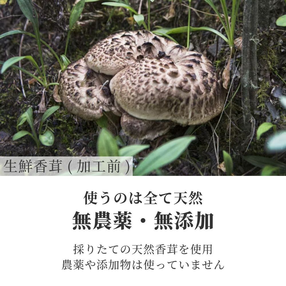 乾燥香茸 天然 50g 5-8cmサイズ 干し コウタケ 黒虎掌茸 シシタケ シシ茸 獅子茸 いのはな スープや香茸ご飯に 中国産 - メルカリ