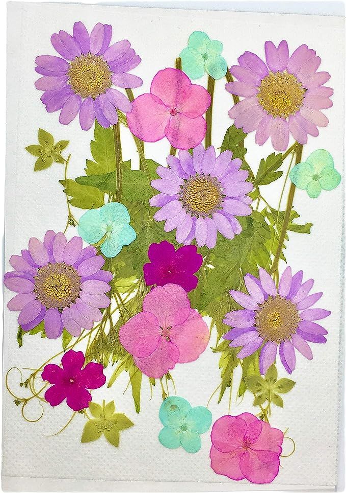 DIY用 押し花 ドライフラワー ブリザードフラワー 薄紫＆紫陽花ミックス ::11940 *KxKShop* メルカリ