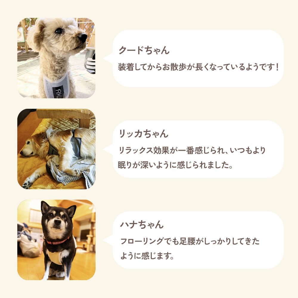 G0048P-O あーるけーるワン公式