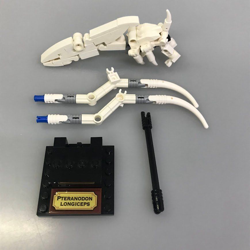 正規品 LEGO レゴ IDEAS 21320 恐竜の化石 外箱・組み立て説明書 正規品 LEGO レゴ IDEAS 21320 恐竜の化石 外箱・組み立て説明書