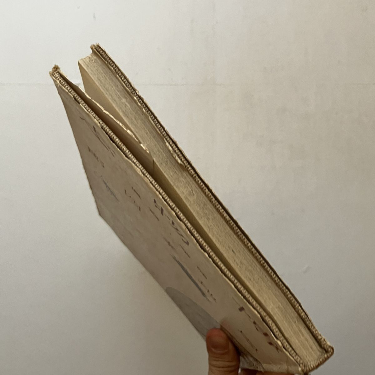 恩地孝四郎貴重書「博物志 : 寫眞・随筆」玄光社 1942年 141p 12いyn