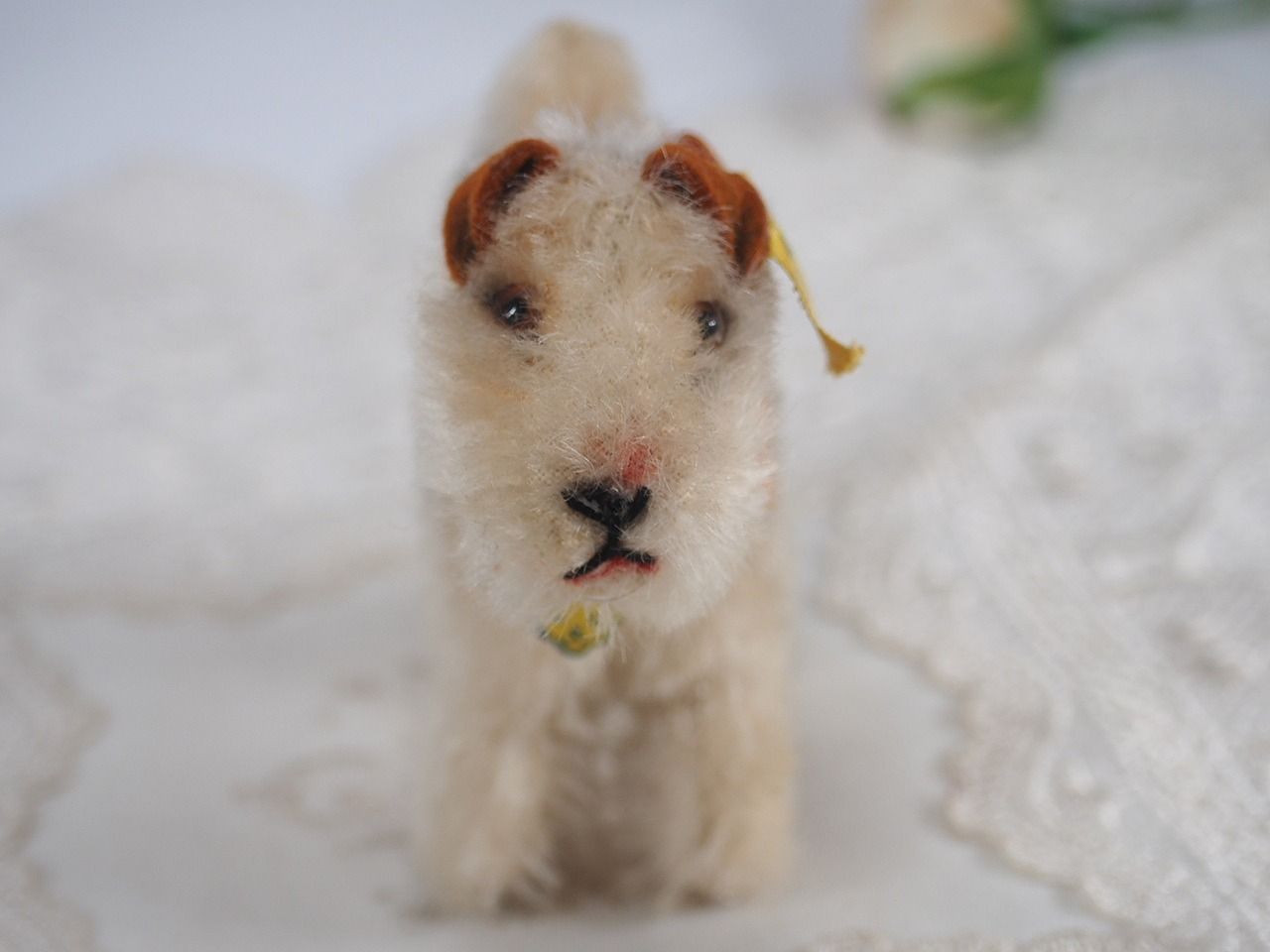 ★シュタイフ★Foxy Foxterrier★フォックステリアのフォクシー/犬★ Amazon.com: Steiff Foxy Fox Terrier 14