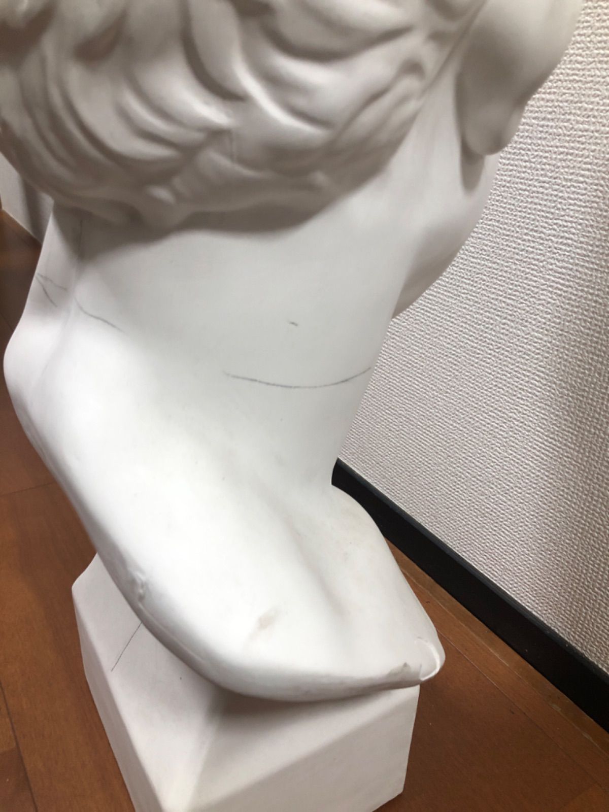 葉】 アグリッパ 石膏像 富士石膏像製作所 デッサン ?
