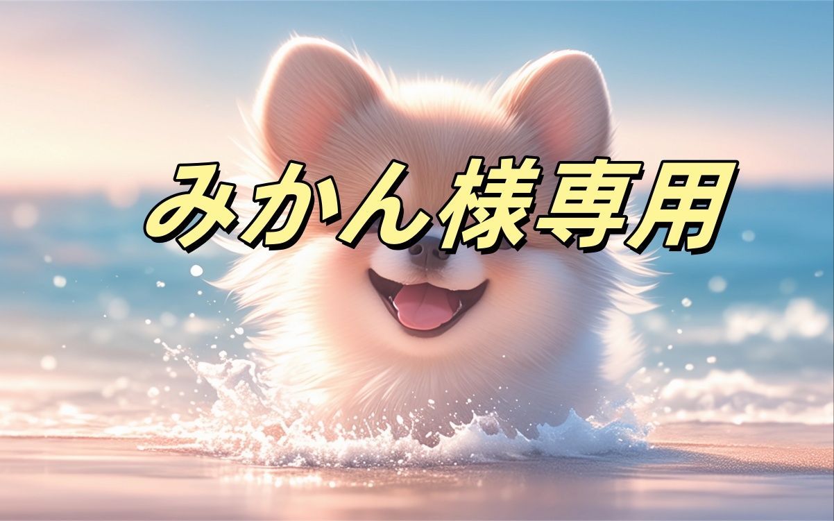 みかん様専用 - メルカリ 