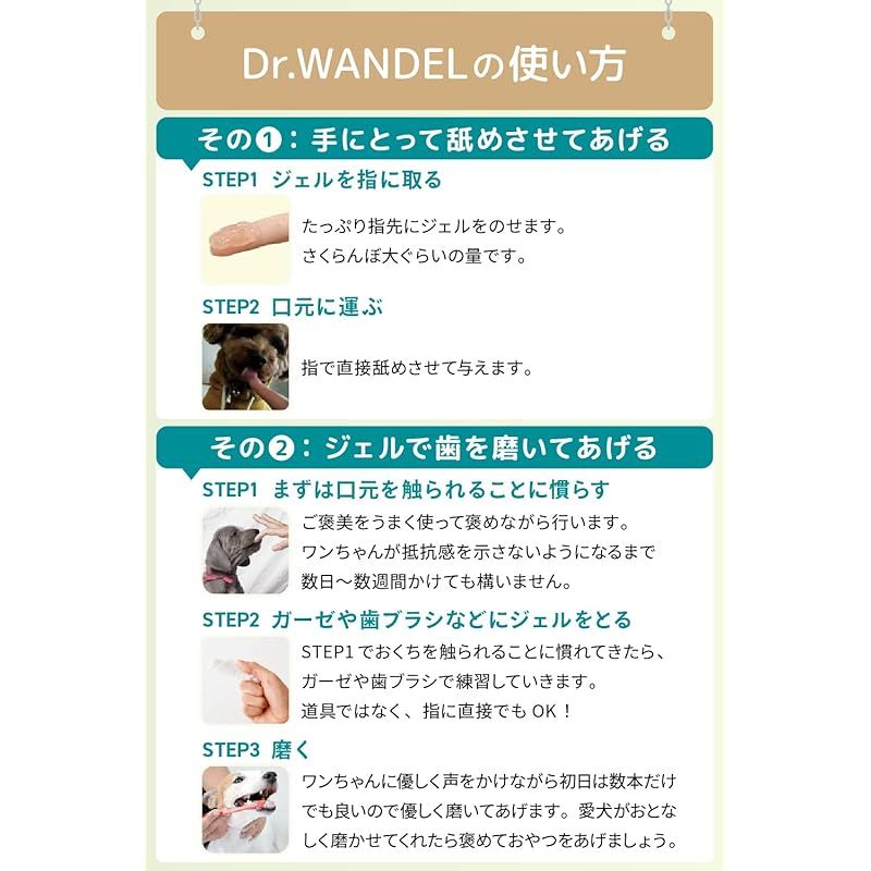 Dr.WANDEL ドクターワンデル