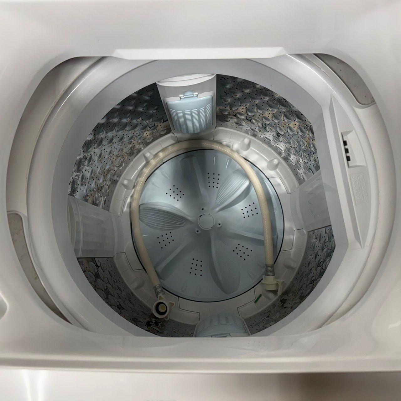 138★2024年製★東芝　洗濯機　5KG ホワイト　一人暮らし 138 TOSHIBA 2024年製 洗濯機 5キロ 小型 一人暮らし ホワイト