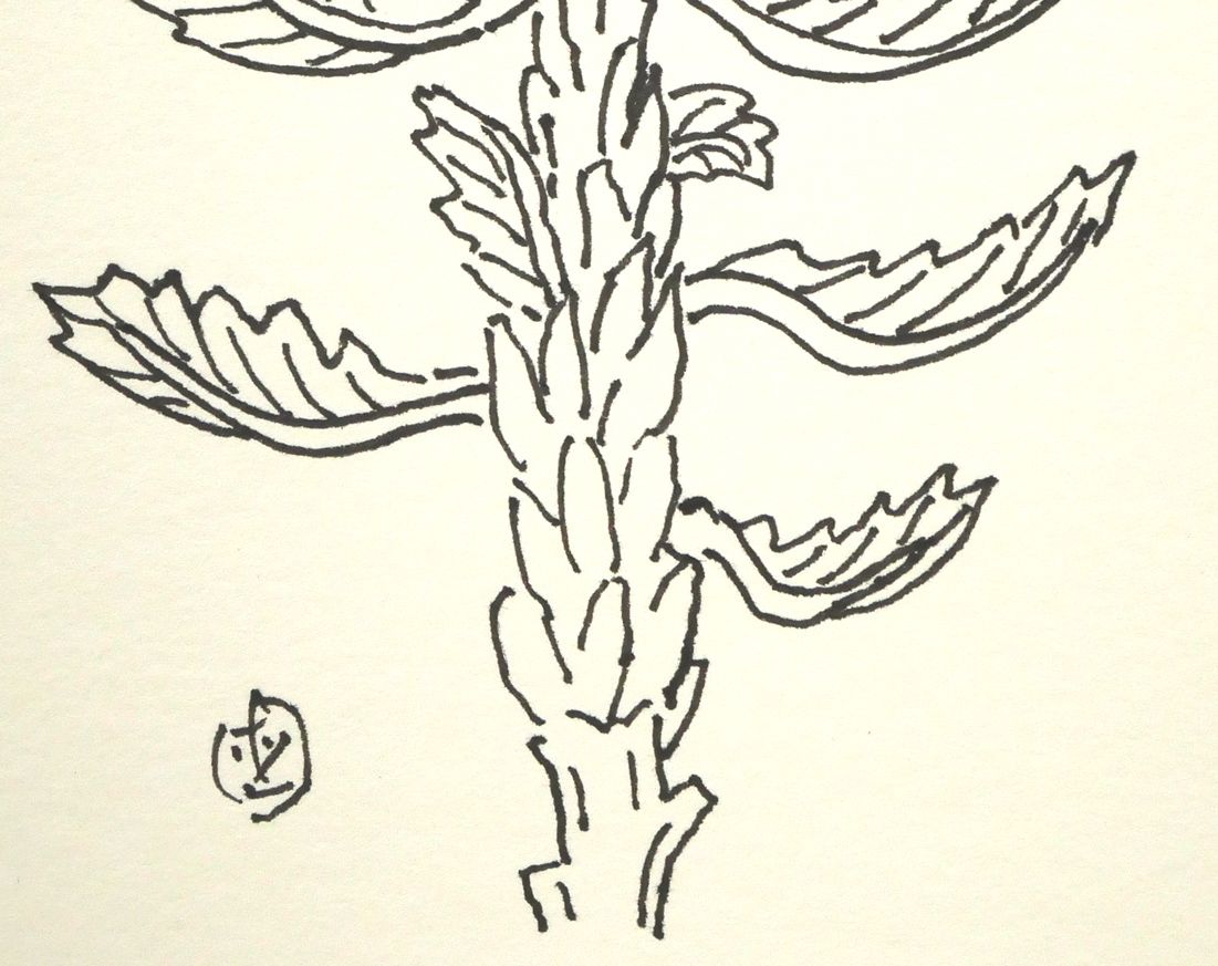 坂本 直行「かしわ」ペン画（13.2×11.8cm）直筆サイン入り 六花
