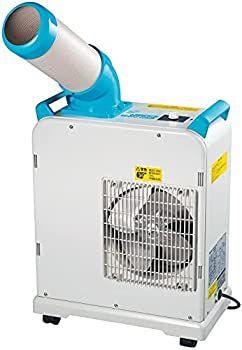 極美品 飴色の縫合線が見事なアンモナイトの女王 インターメディウム 化石